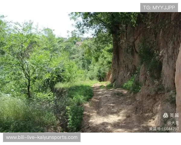 俱乐部优化医疗流程缩短伤员复出评估时间